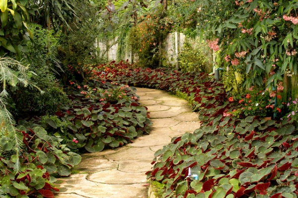 Pathway Landscaping